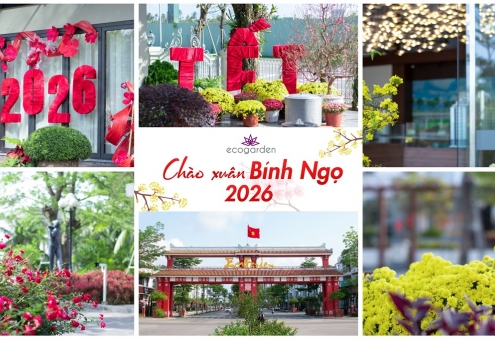 Chào mừng Xuân Bính Ngọ 2026